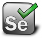 Selenium Training in Serbia