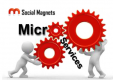 Microservices Training in Serbia