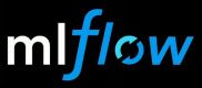 MLflow Training in Serbia