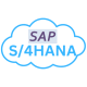 SAP S/4HANA Training in Serbia