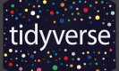 Tidyverse Training in Serbia